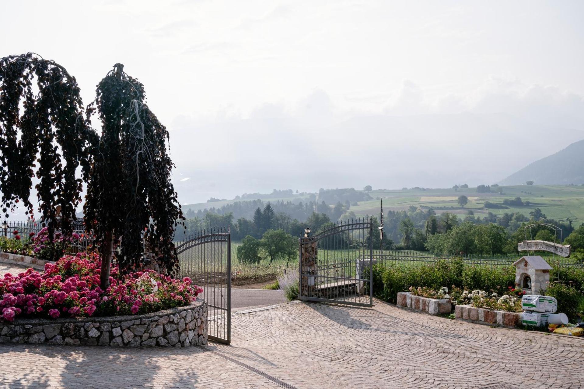 Agritur Maso Alle Rose B&B E Restaurant Balbido-rango Exterior foto